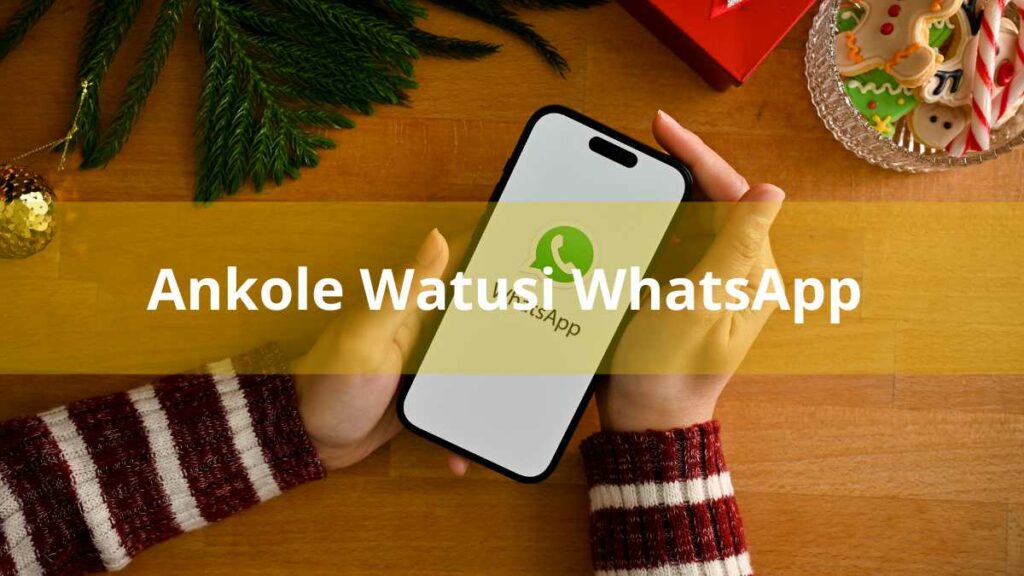Ankole Watusi WhatsApp