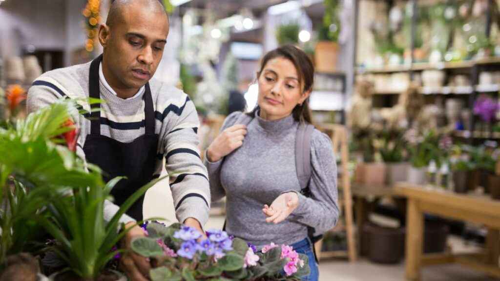 Como escolher plantas para presente